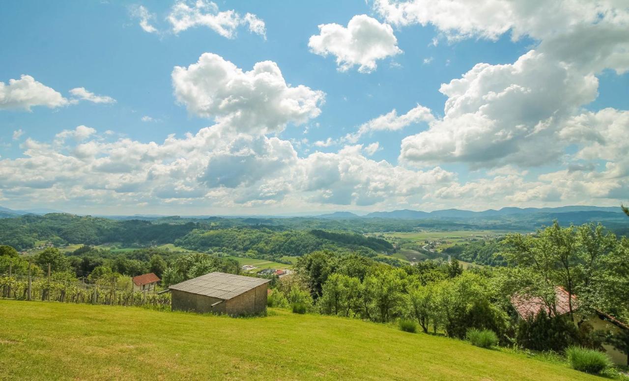 Holiday Home Bor Podčetrtek Kültér fotó